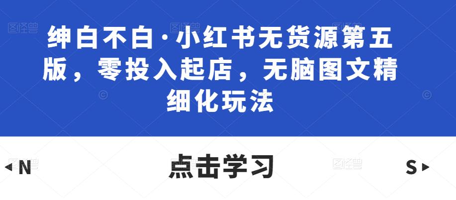 绅白不白·小红书无货源第五版,零投入起店,无脑图文精细化玩法-风淘社