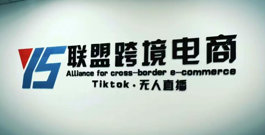 YS联盟·Tiktok无人直播,不出镜不剪辑不拍摄不发货无售后的跨境短视频躺赚玩法-风淘社