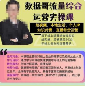 数据哥流量综合运营实操课:短视频、本地生活、个人IP知识付费、直播带货运营-风淘社