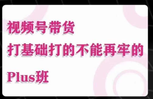 大播汇·视频号带货Puls班，视频号底层逻辑，起号自然流鱼塘等玩法-风淘社
