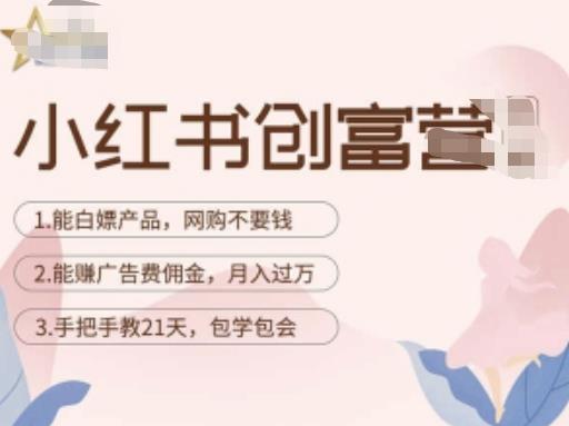 小红书创富营-教小红书带货，陪跑21天，教你赚广告费佣金，月入过万-风淘社