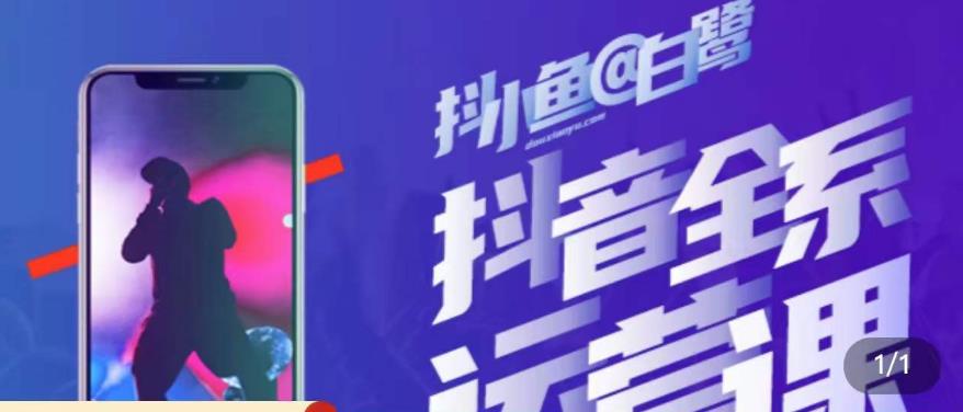 白鹭·主播内训营,运营主播话术起号进阶能力提升-风淘社
