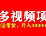 多多带货视频快速50爆款拿带货资格，搬运带货，月入30000【全套脚本+详细玩法】-风淘社