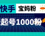 抖音快手三天起号涨粉1000宝妈粉丝的核心方法【详细玩法教程】-风淘社