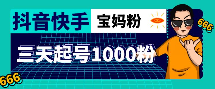 抖音快手三天起号涨粉1000宝妈粉丝的核心方法【详细玩法教程】-风淘社