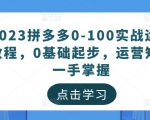 2023拼多多0-100实战运营教程，0基础起步，运营知识一手掌握-风淘社