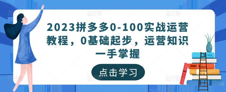 2023拼多多0-100实战运营教程,0基础起步,运营知识一手掌握-风淘社
