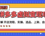 程哥拼多多虚拟变现项目：讲解开店流程-实操-选品-上架-自动发货等-风淘社