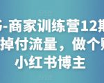 小红书-商家训练营12期:让商家丢掉付流量,做个赚钱的小红书博主-风淘社