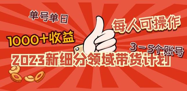2023新细分领域带货计划:单号单日1000+收益不难,每人可操作3-5个账号-风淘社