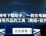 微信视频号下载助手,一款在电脑上下载视频号作品的工具(教程+软件)-风淘社