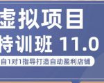 陆明明·虚拟项目特训班(10.0+11.0),0成本获取虚拟素材,0基础打造自动盈利店铺-风淘社