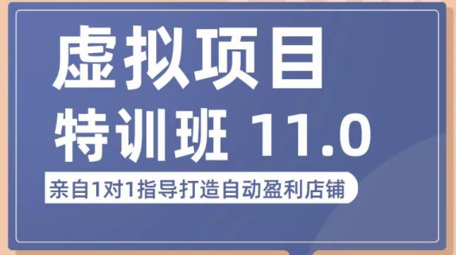 陆明明·虚拟项目特训班(10.0+11.0),0成本获取虚拟素材,0基础打造自动盈利店铺-风淘社