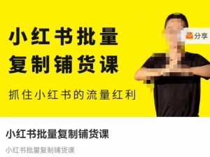 张宾·小红书批量复制铺货课,抓住小红书的流量红利 (更新2023年2月)-风淘社