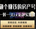 刘广标·同城房产号线上陪跑课，拍摄、剪辑、写文案、直播，做一个具有潜力价值的房产号-风淘社