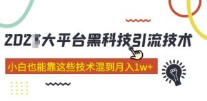 大平台黑科技引流技术，小白也能靠这些技术混到月入1w+(2022年的课程）-风淘社