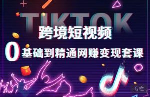 跨境短视频TIKTOK 0基础到精通网赚变现套课,跨境短视频独立站带货变现技巧-风淘社