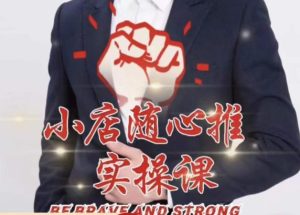 随心推线上课,小店随心推的投放逻辑,投放技巧,快速打标签-风淘社