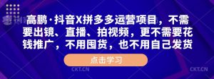 高鹏·抖音X拼多多运营项目,不需要出镜、直播、拍视频,不需要花钱推广,不用囤货,不用自己发货-风淘社