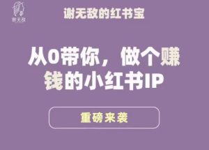 谢无敌·小红书运营大宝典,从0带你做个赚钱的小红书IP-风淘社