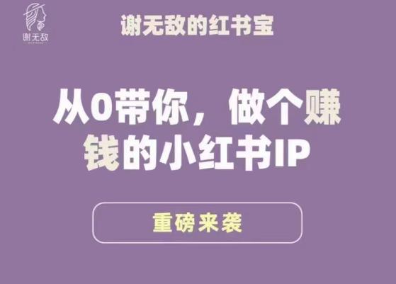 谢无敌·小红书运营大宝典,从0带你做个赚钱的小红书IP-风淘社