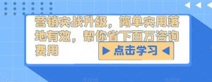 营销实战升级，简单实用落地有效，帮你省下百万咨询费用-风淘社