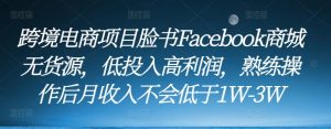 跨境电商项目脸书Facebook商城无货源,低投入高利润,熟练操作后月收入不会低于1W-3W-风淘社