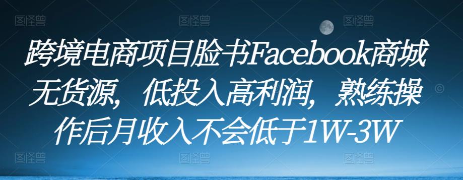 跨境电商项目脸书Facebook商城无货源,低投入高利润,熟练操作后月收入不会低于1W-3W-风淘社