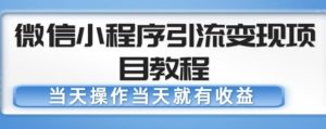 微信小程序引流变现项目教程,当天操作当天就有收益,变现不再是难事-风淘社