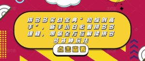 拼多多实战宝典“初级到高手”,新手小白必看拼多多课程,带你全方位解读拼多多各种玩法-风淘社