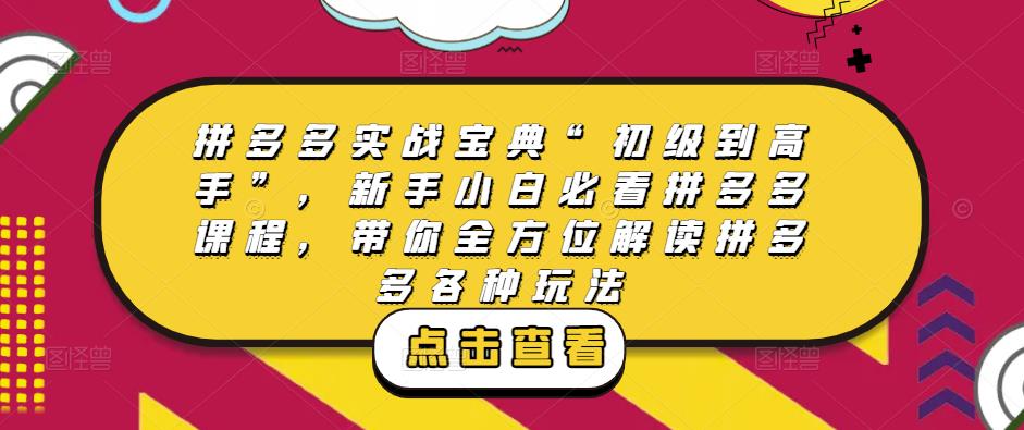 拼多多实战宝典“初级到高手”,新手小白必看拼多多课程,带你全方位解读拼多多各种玩法-风淘社