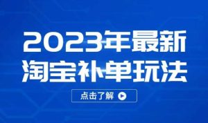 2023年最新淘宝补单玩法,18节课让教你快速起新品,安全不降权-风淘社