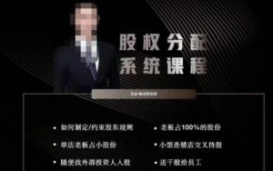 韩老师聊美业-美业股权分配系统课程,如何制定约束股东规则+老板占100%的股份+单店老板占小股份等-风淘社