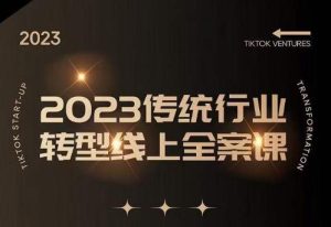 数据哥2023传统行业转型线上全案课,2023年传统行业如何转型线上,线上创业/传统转型避坑宝典-风淘社