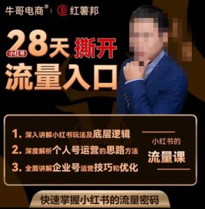 牛哥电商红薯邦28天撕开小红书流量入口，小红书运营系列课，快速掌握小红书的流量密码-风淘社