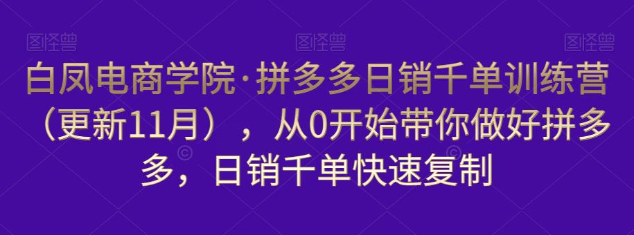 白凤电商学院·拼多多日销千单训练营,从0开始带你做好拼多多,日销千单快速复制(更新知2023年3月)-风淘社