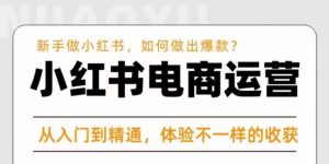 红商学院·小红书电商运营课,新手做小红书如何快速做出爆款,从入门到精通,体验不一样的收货-风淘社