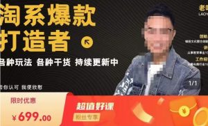 锋投老叶全店动销,淘系干货汇总,各种玩法,淘系爆款打造者-风淘社