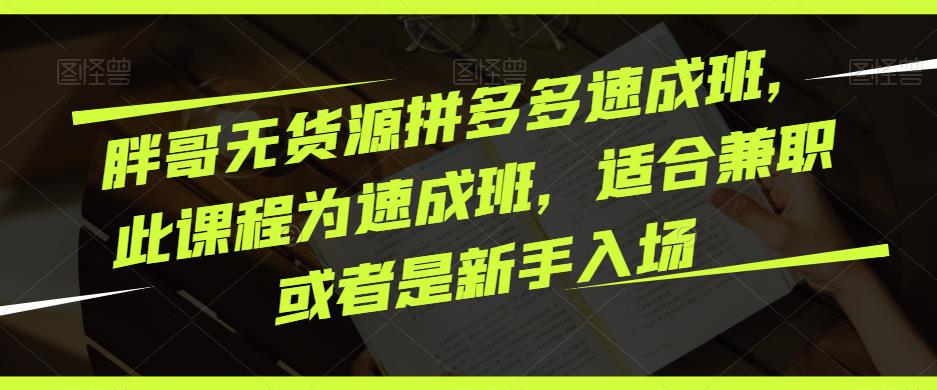 胖哥无货源拼多多速成班,此课程为速成班,适合兼职或者是新手入场-风淘社