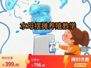 水母摆摊教学，包括摆摊技术、养殖技术、拿货渠道、抖音运营等-风淘社