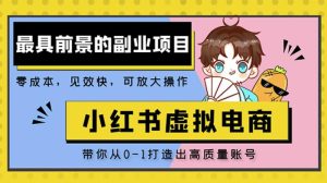 小红书蓝海大市场虚拟电商项目,手把手带你打造出日赚2000+高质量红薯账号-风淘社