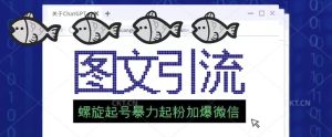 2023年价值1980的图文引流创业粉螺旋起好技术暴力起粉加爆微信-风淘社