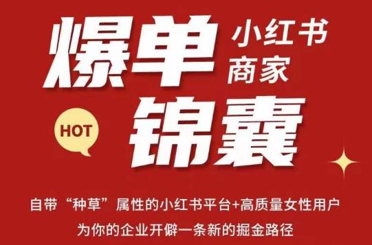 无畏·小红书商家爆单锦囊，掌握小红书各大规则，快速精准抢占行业和市场-风淘社