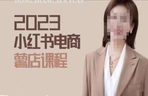 2023小红书电商课，新手小白从0~1玩转小红书薯店电商-风淘社