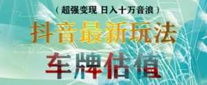 抖音最新无人直播变现直播车牌估值玩法项目,轻松日赚几百+【详细玩法教程】-风淘社