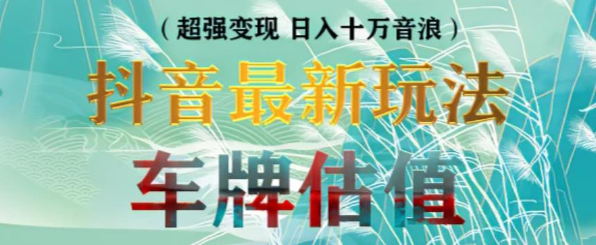 抖音最新无人直播变现直播车牌估值玩法项目，轻松日赚几百+【详细玩法教程】-风淘社