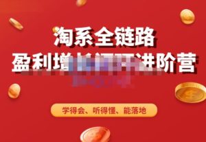 淘系全链路盈利增长闭环进阶营,融合全店动销,学得会、听得懂、能落地!-风淘社