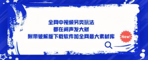全网中视频另类玩法，都在闷声发大财，附带破解版下载软件加全网最大素材库-风淘社