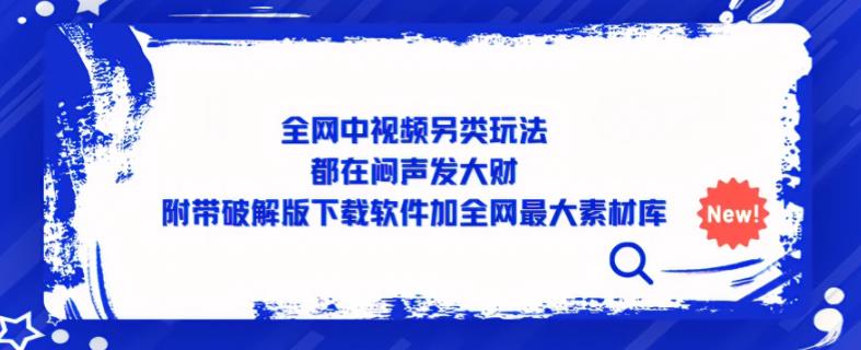 全网中视频另类玩法，都在闷声发大财，附带破解版下载软件加全网最大素材库-风淘社