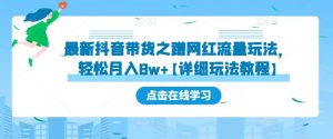 最新抖音带货之蹭网红流量玩法，轻松月入8w+【详细玩法教程】-风淘社